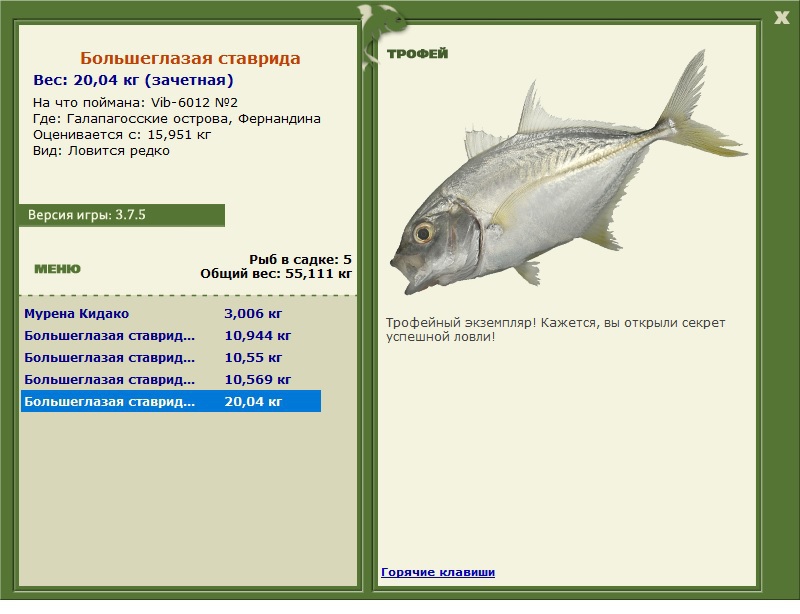Большеглазая ставрида 