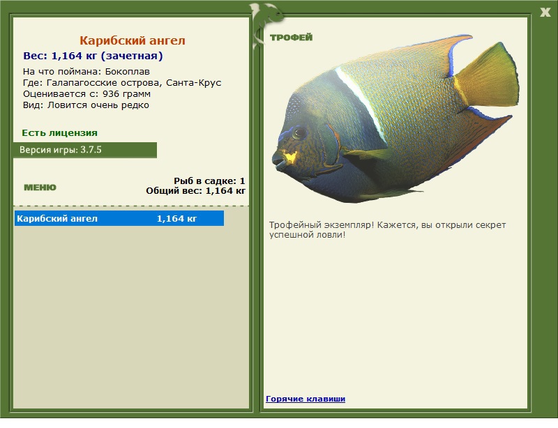 турниры • РУССКАЯ РЫБАЛКА