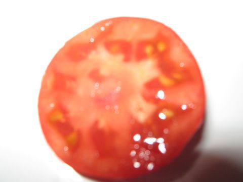 ����� ����