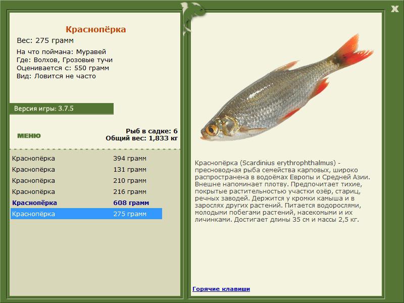 Грозовые тучи 
