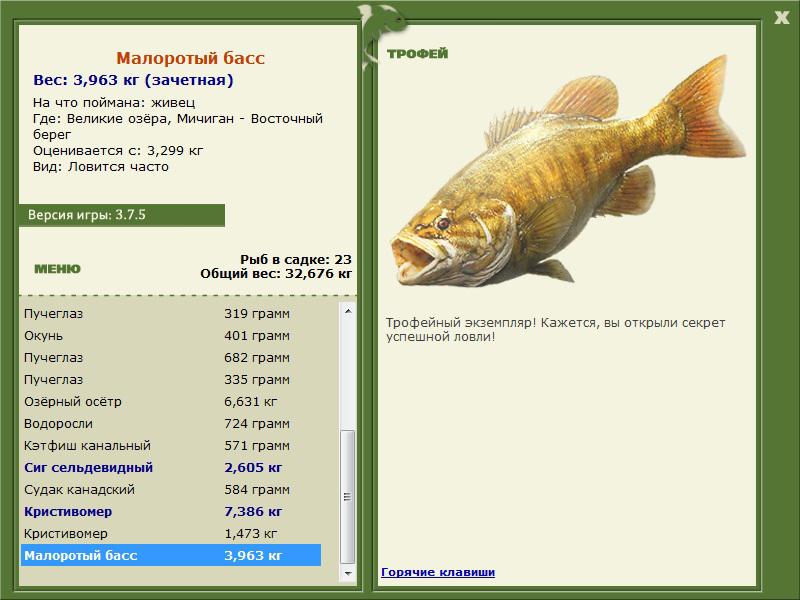 РУССКАЯ РЫБАЛКА Installsoft Edition 