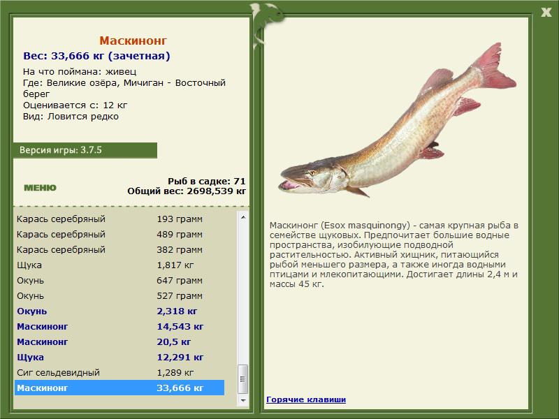 РУССКАЯ РЫБАЛКА Installsoft Edition 