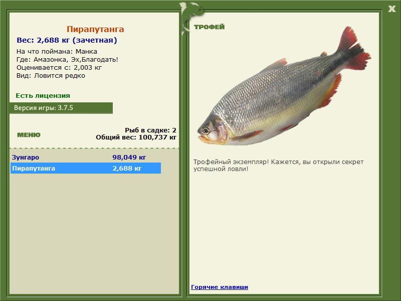 РУССКАЯ РЫБАЛКА Installsoft Edition 