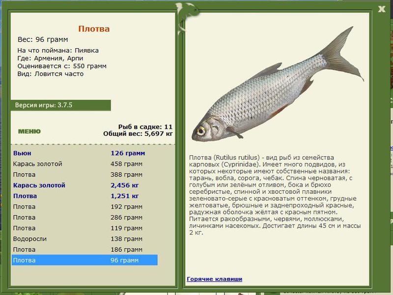 РУССКАЯ РЫБАЛКА Installsoft Edition 