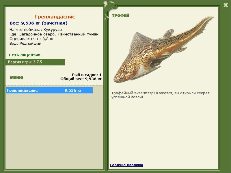 Таинственный туман 