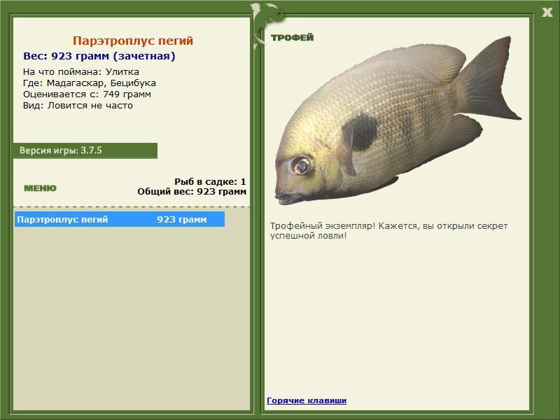 Бецибука 