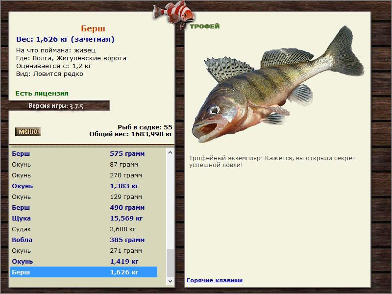 РУССКАЯ РЫБАЛКА Installsoft Edition 