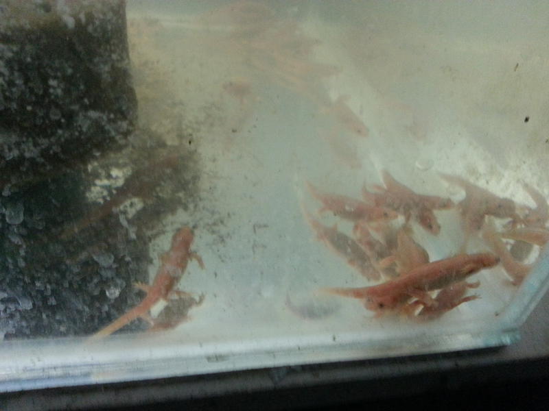  Начать новую тему