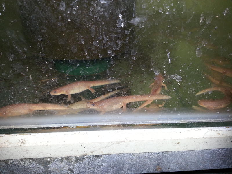  Начать новую тему