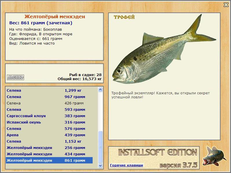 В открытом море 