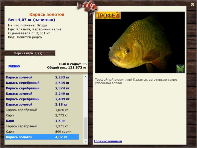 Карасиный залив 