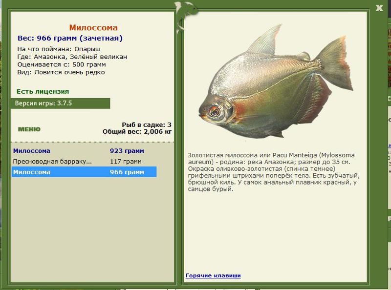 РУССКАЯ РЫБАЛКА Installsoft Edition 