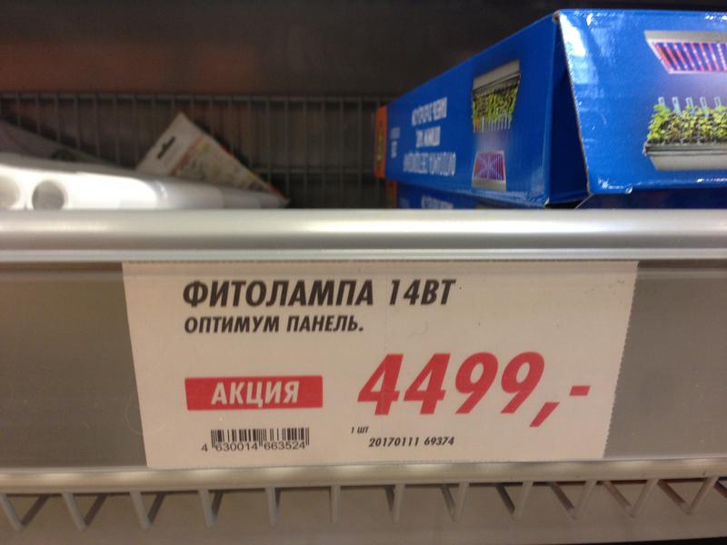 Подсветка рассады