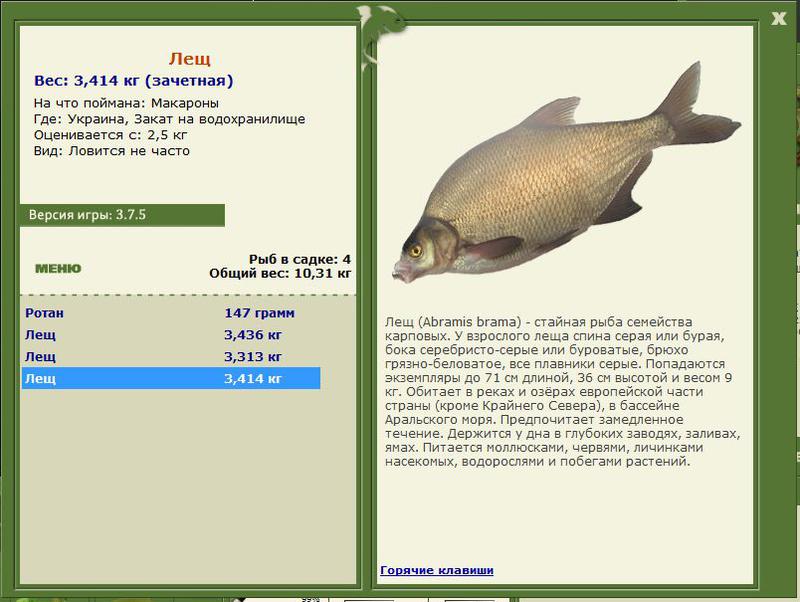 РУССКАЯ РЫБАЛКА Installsoft Edition 