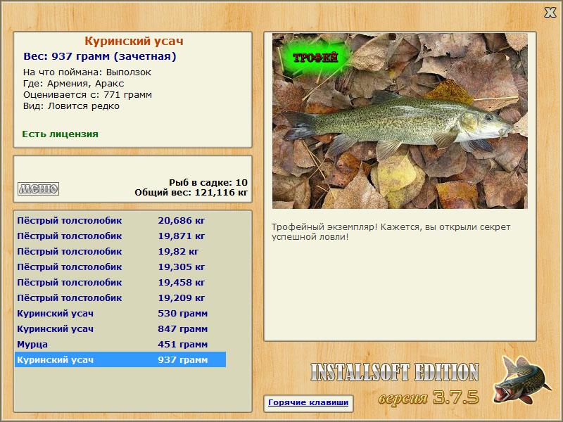 Куринский усач 
