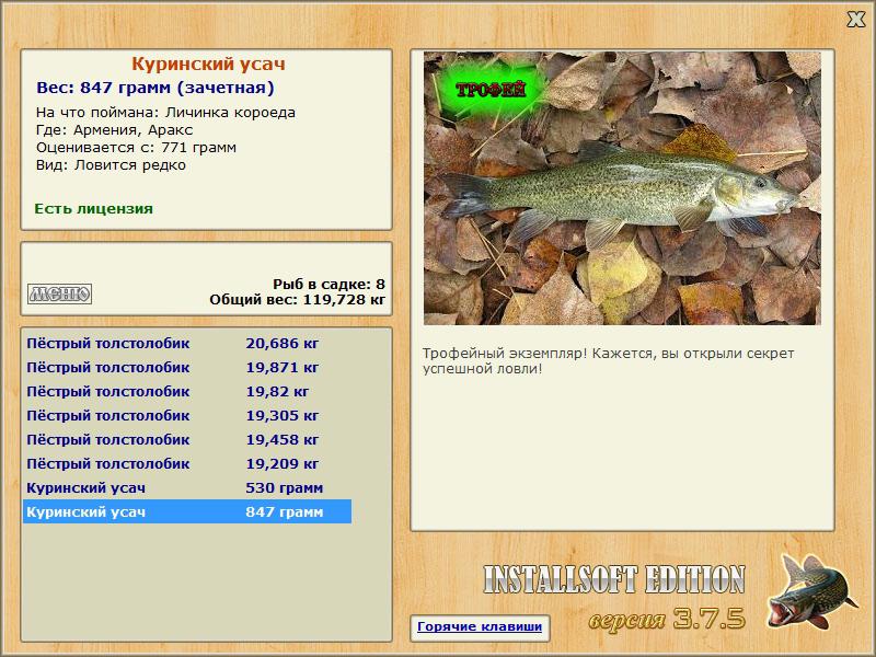 Куринский усач 
