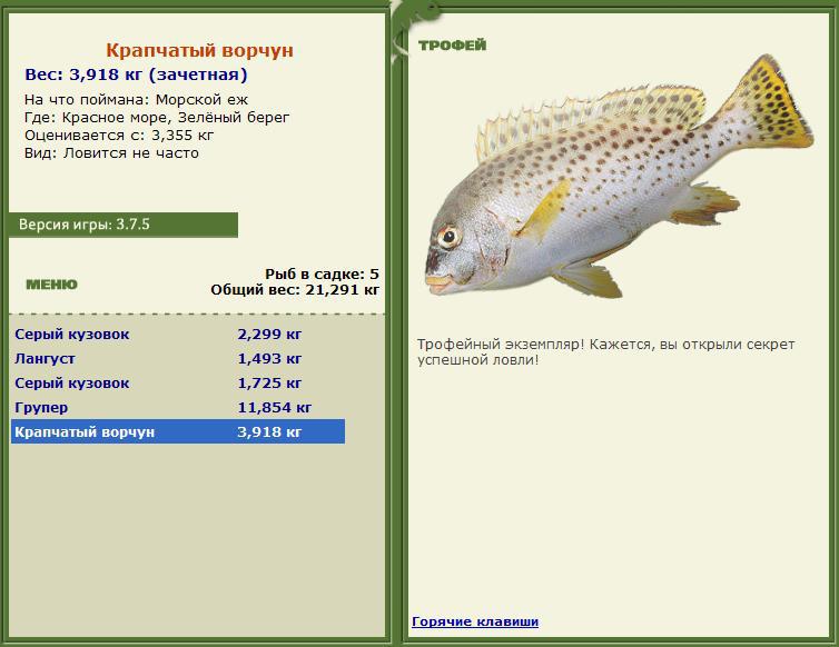 турниры • РУССКАЯ РЫБАЛКА