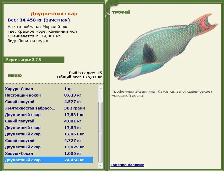 турниры • РУССКАЯ РЫБАЛКА