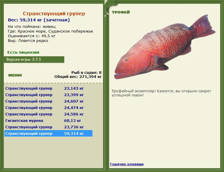 турниры • РУССКАЯ РЫБАЛКА