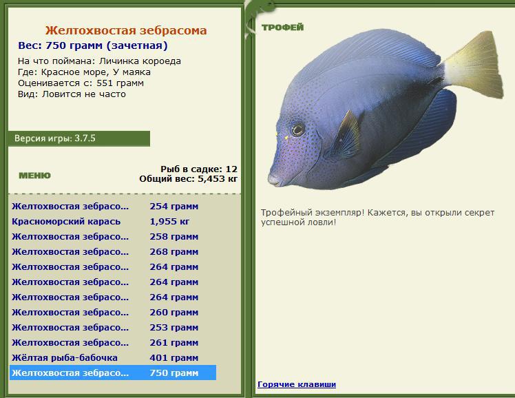 турниры • РУССКАЯ РЫБАЛКА