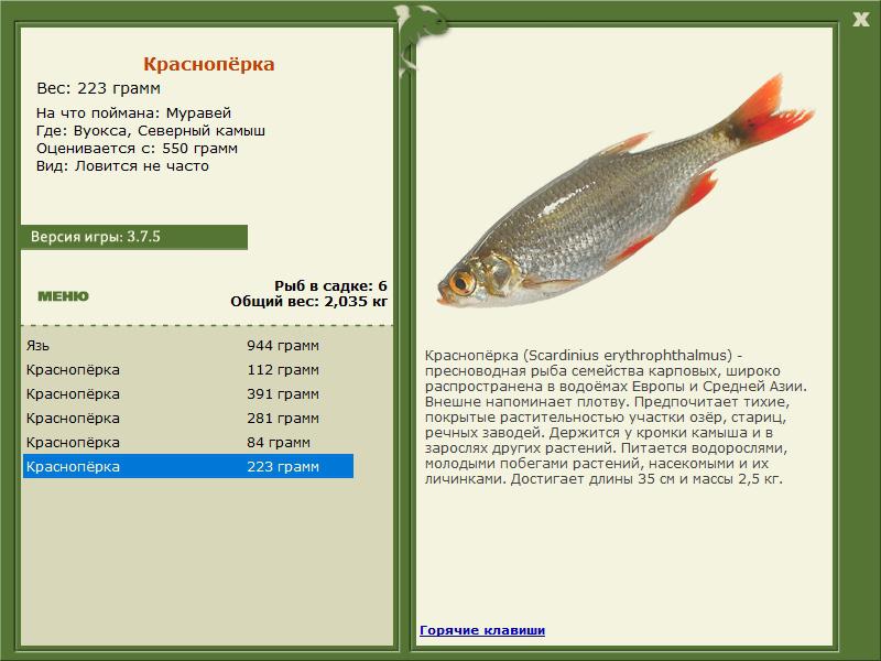 РУССКАЯ РЫБАЛКА Installsoft Edition 