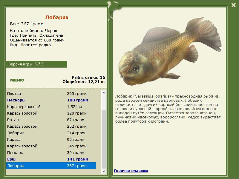 РУССКАЯ РЫБАЛКА Installsoft Edition 