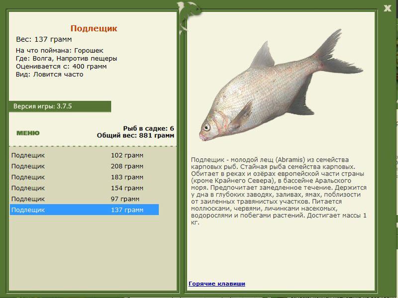 РУССКАЯ РЫБАЛКА Installsoft Edition 