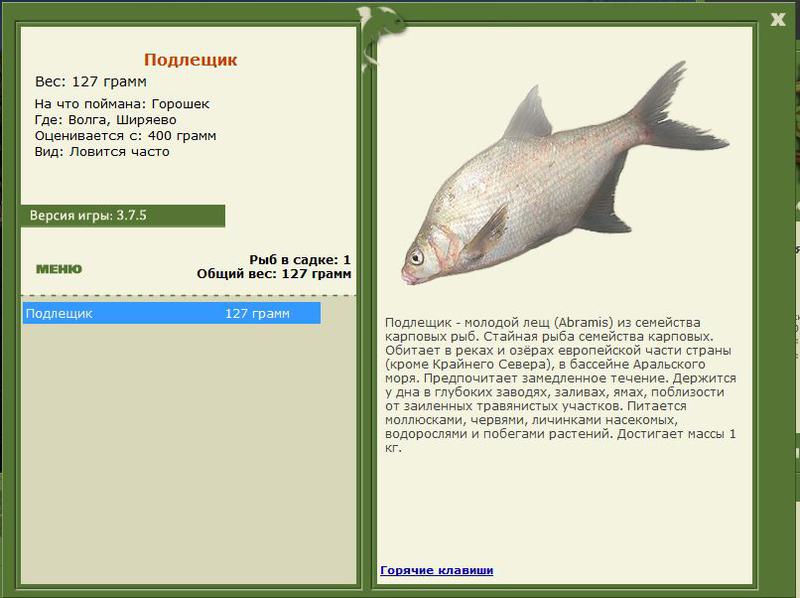 РУССКАЯ РЫБАЛКА Installsoft Edition 