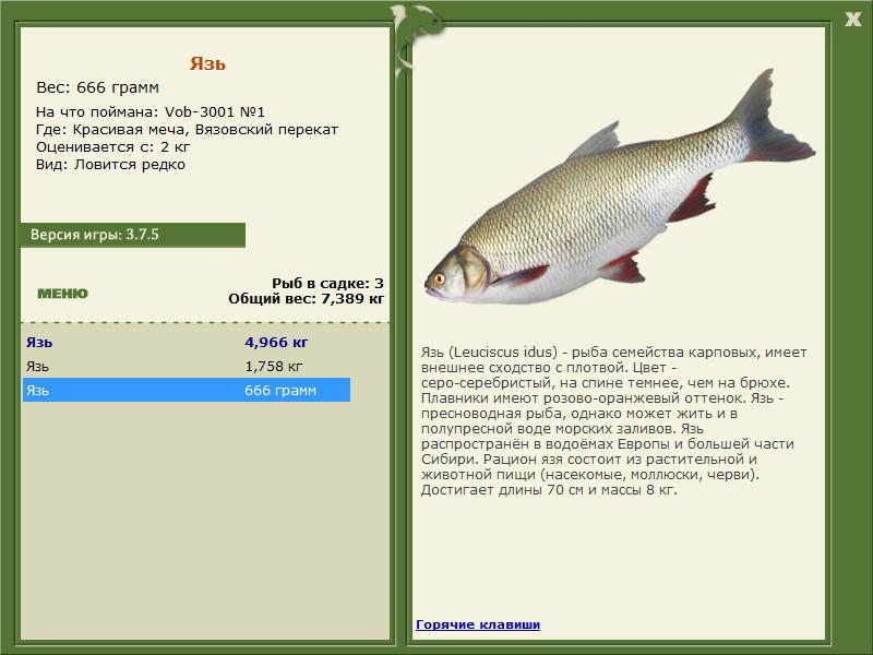 РУССКАЯ РЫБАЛКА Installsoft Edition 