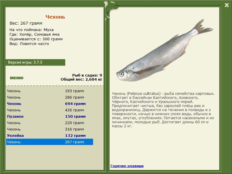 РУССКАЯ РЫБАЛКА Installsoft Edition 