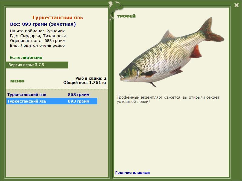 Тихая река 