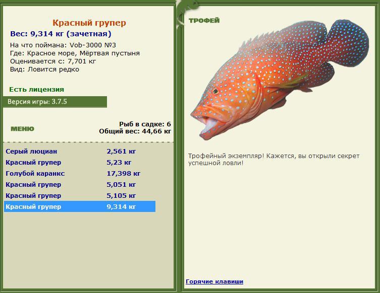 турниры • РУССКАЯ РЫБАЛКА