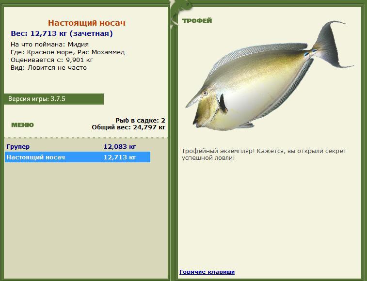 турниры • РУССКАЯ РЫБАЛКА