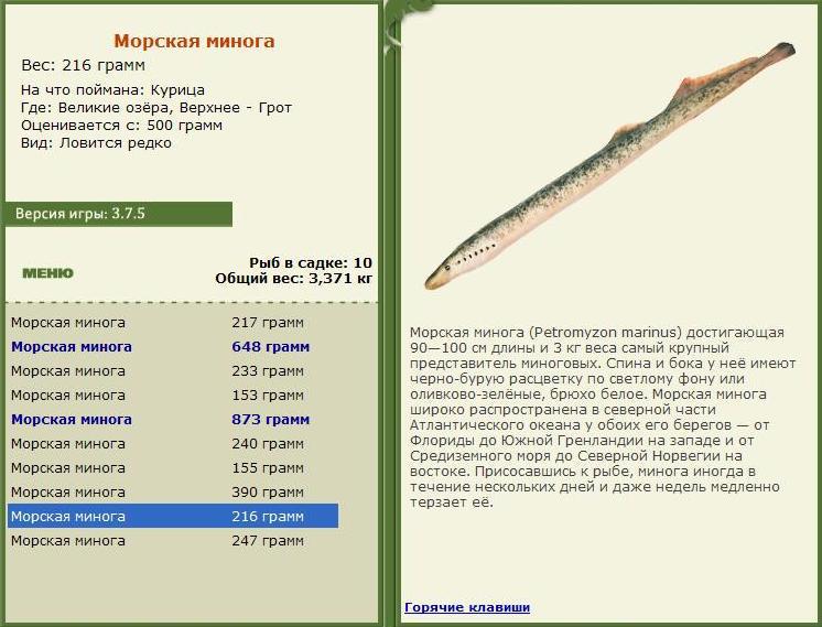  Грот • Великие Американские озёра • РУССКАЯ РЫБАЛКА