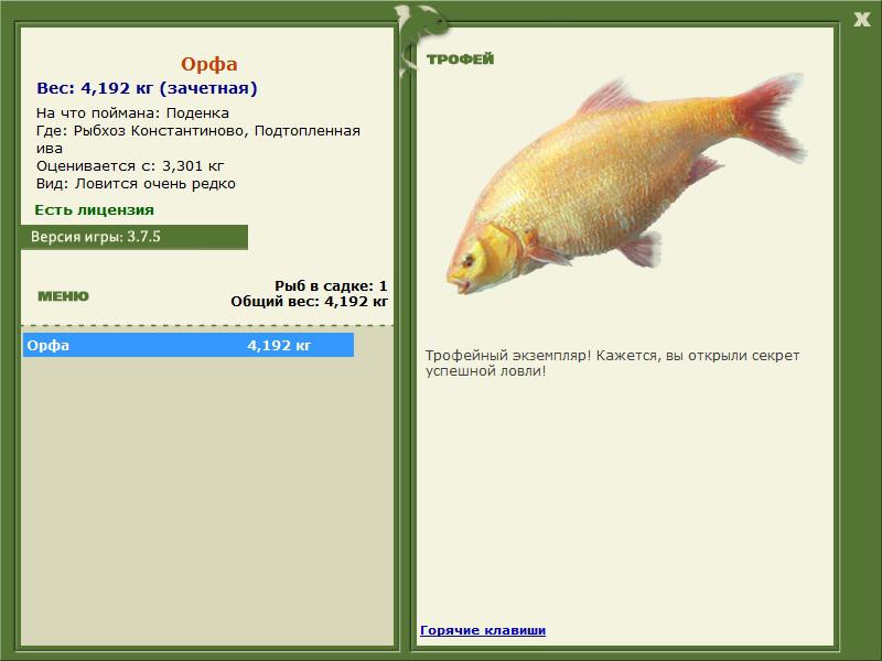 Подтопленная ива 