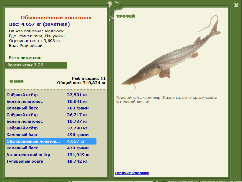 Излучина 