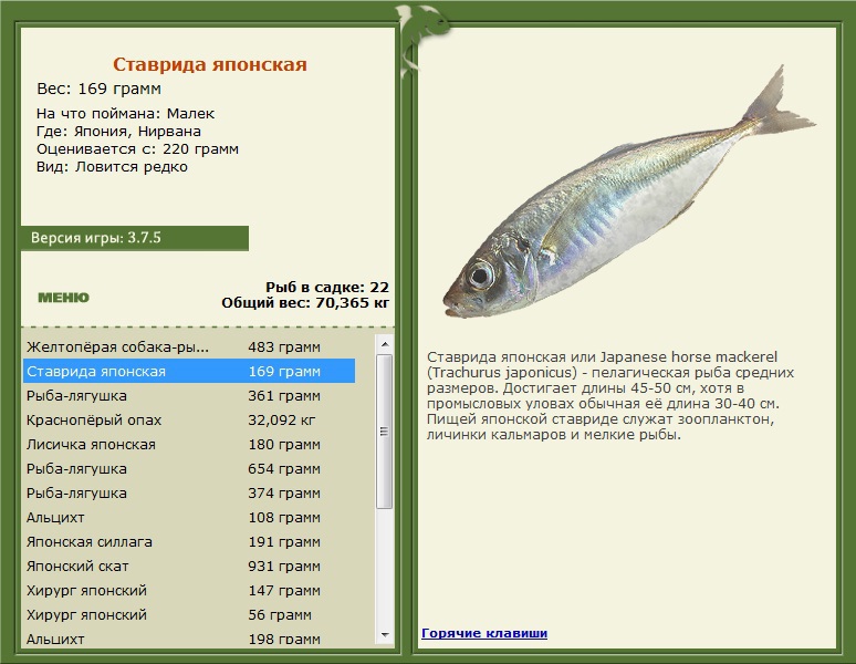 Нирвана 