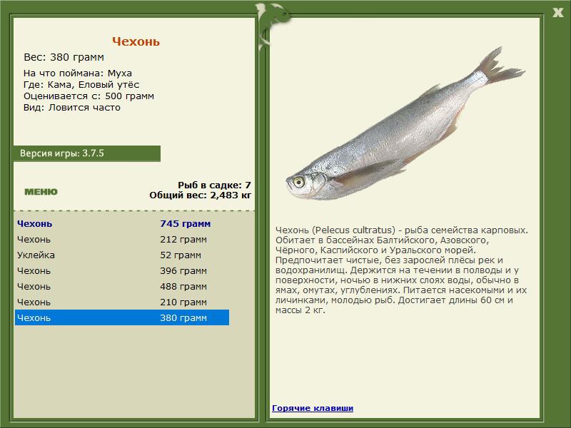 РУССКАЯ РЫБАЛКА Installsoft Edition 