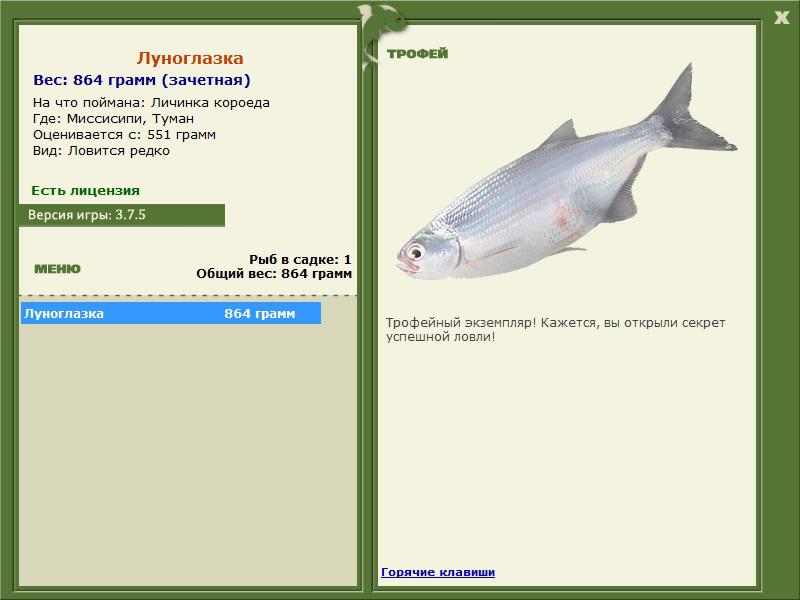 Туман 