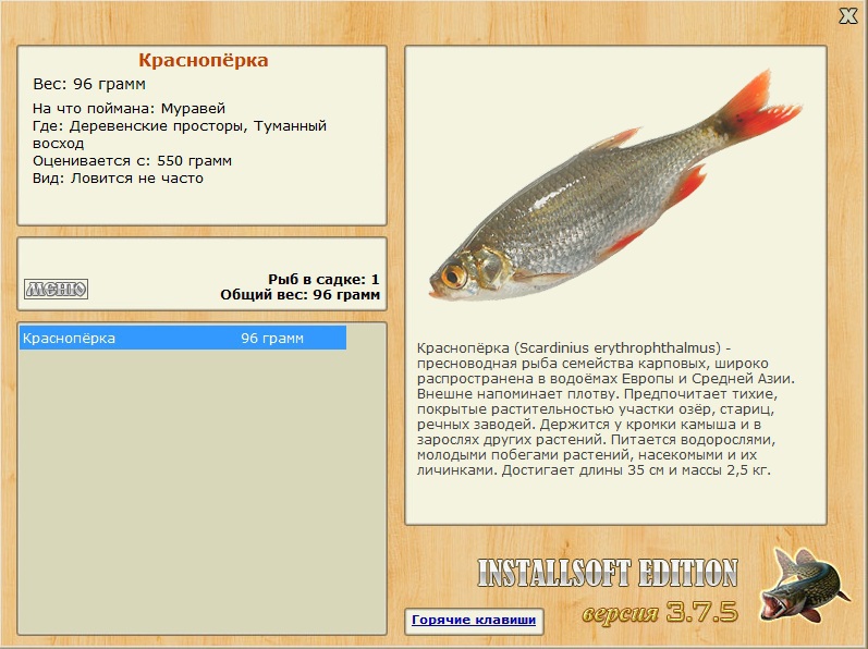 Туманный восход 