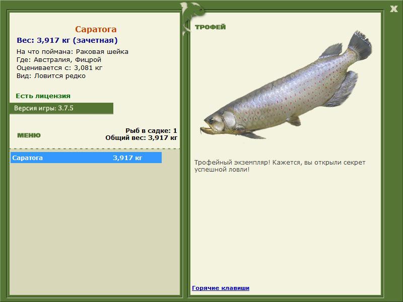 Фицрой 