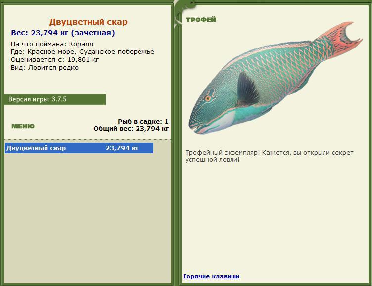 турниры • РУССКАЯ РЫБАЛКА