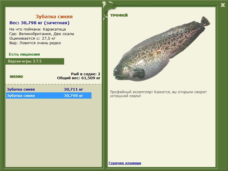 Две скалы 