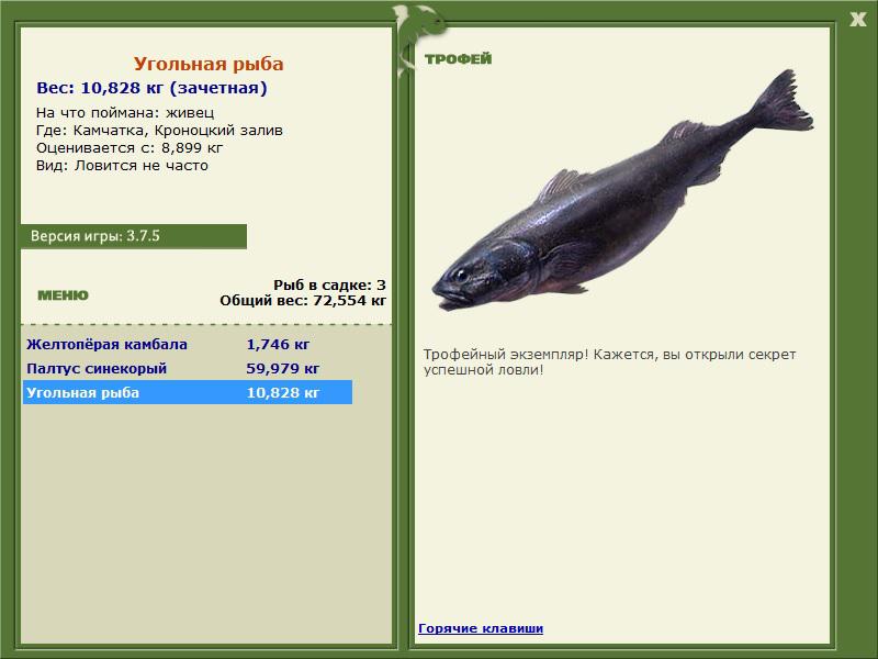РУССКАЯ РЫБАЛКА Installsoft Edition 