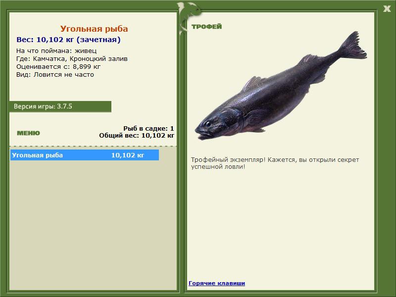 РУССКАЯ РЫБАЛКА Installsoft Edition 