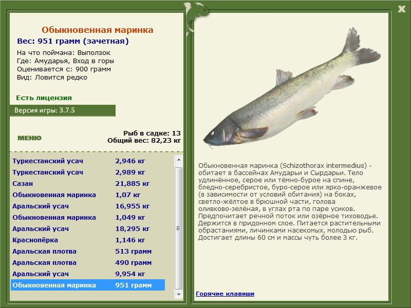 Вход в горы 