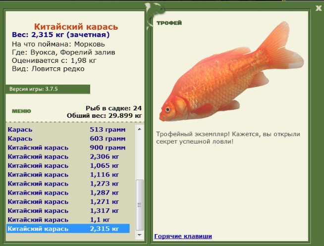 Морковь 
