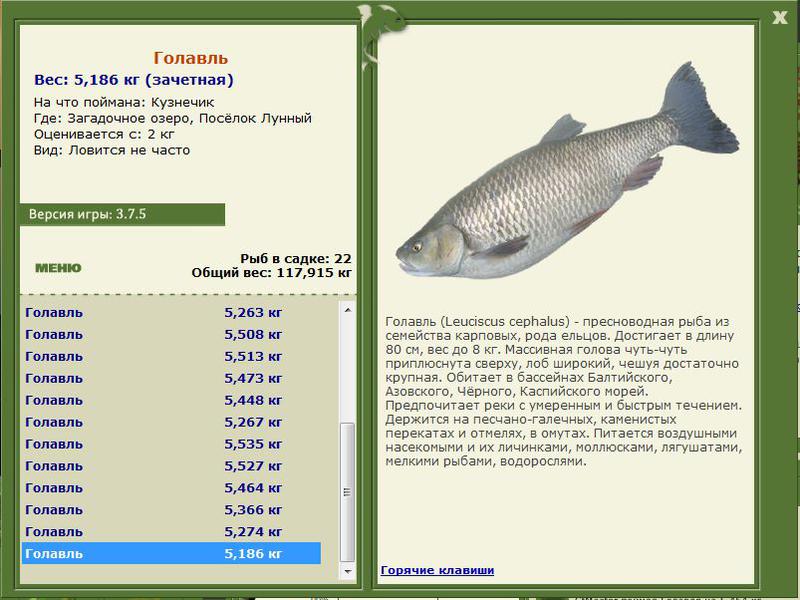 РУССКАЯ РЫБАЛКА Installsoft Edition 