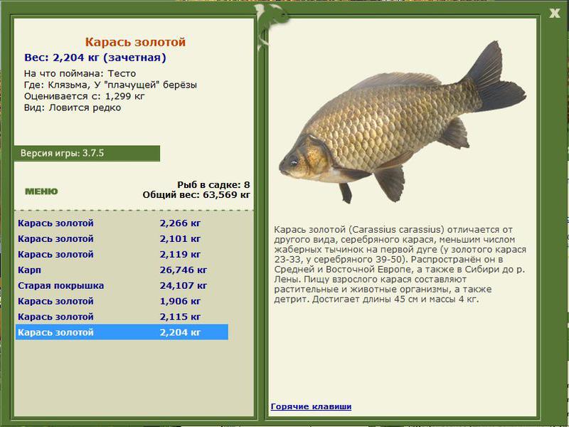 РУССКАЯ РЫБАЛКА Installsoft Edition 