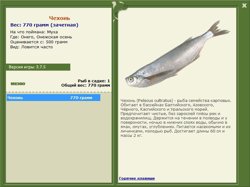 РУССКАЯ РЫБАЛКА Installsoft Edition 